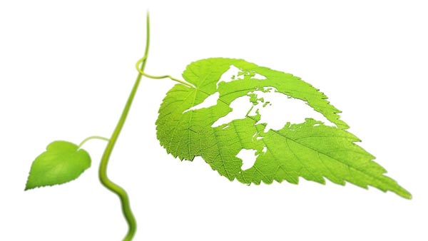 RSE : responsabilité environnementale RSE : responsabilité environnementale