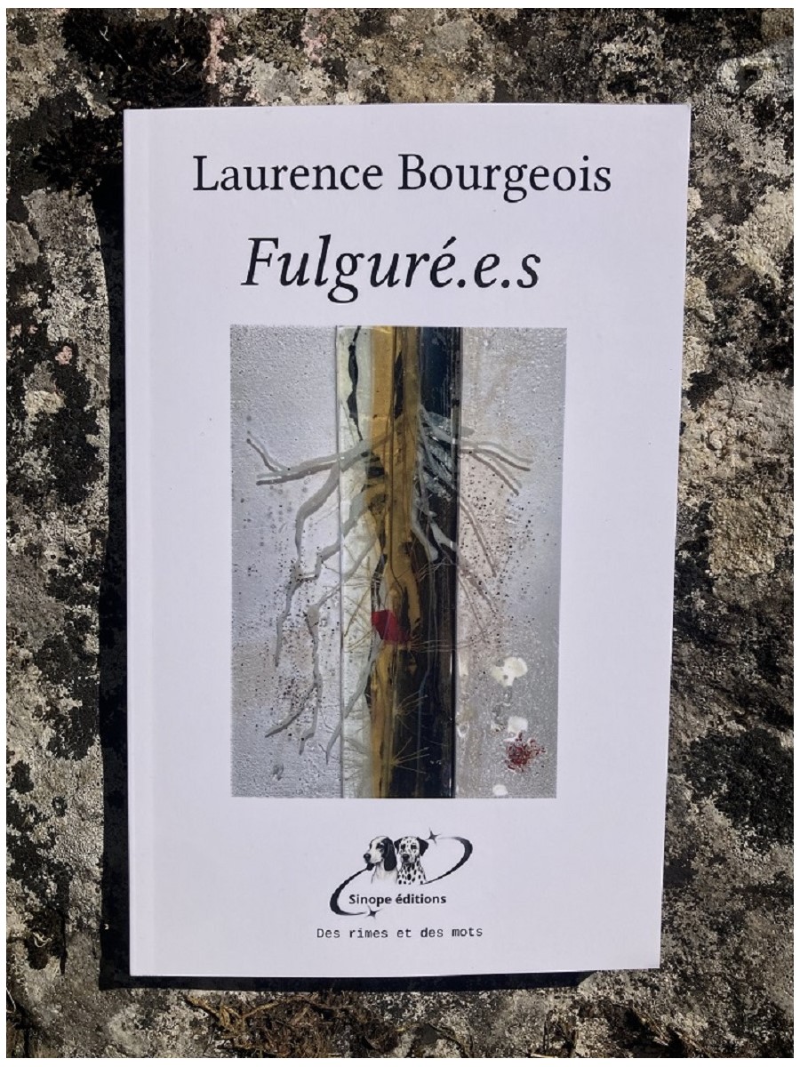 Fulguré.e.s