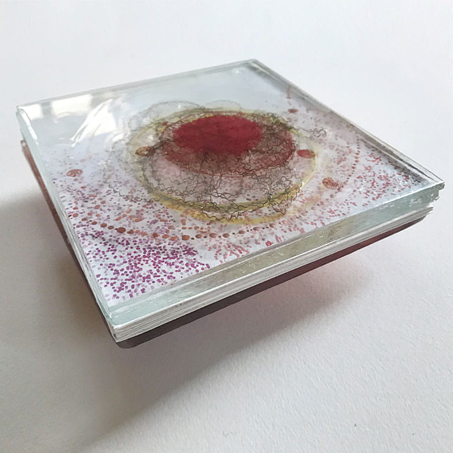 Art For Science - Être crâne