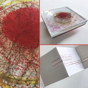 Exposition et conférence "être crâne"