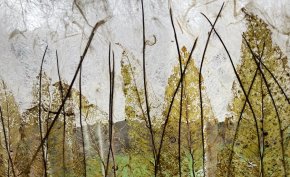 Oeuvre murales sur verre -Lisière