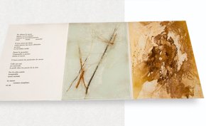 Dans le vide murmurant des silences - livre imprimé