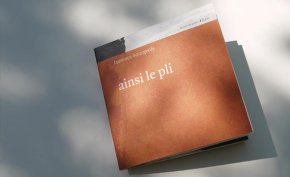 Ainsi le pli - recueil de poèmes
