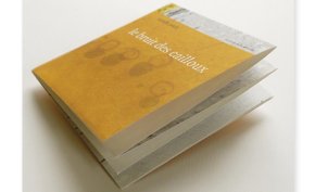 Le bruit des cailloux - poèsie