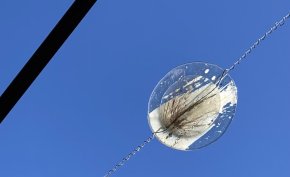 Oeuvre de verre et empreinte végétale