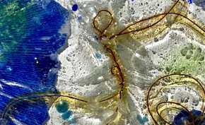 Oeuvre de verre et empreinte végétale